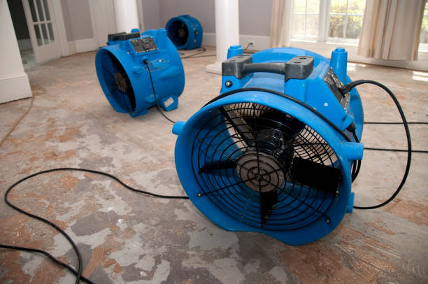  Cimarron, KS Water damage restoration Pros