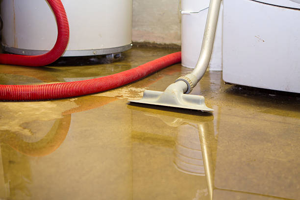 Best Mold removal after water damage  in Cimarron, KS