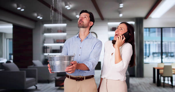 Best Water damage cleanup near me  in Cimarron, KS